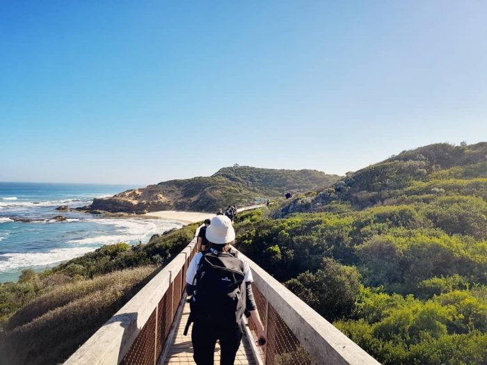 Point Nepean national park by @melbournite.rustics on Instagram