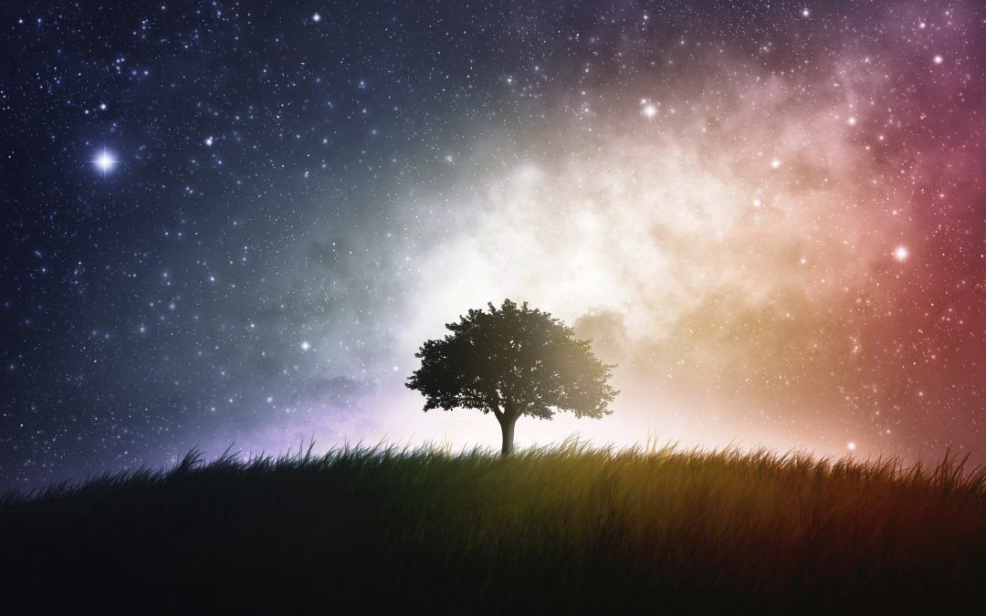 Understanding your sleep cycle